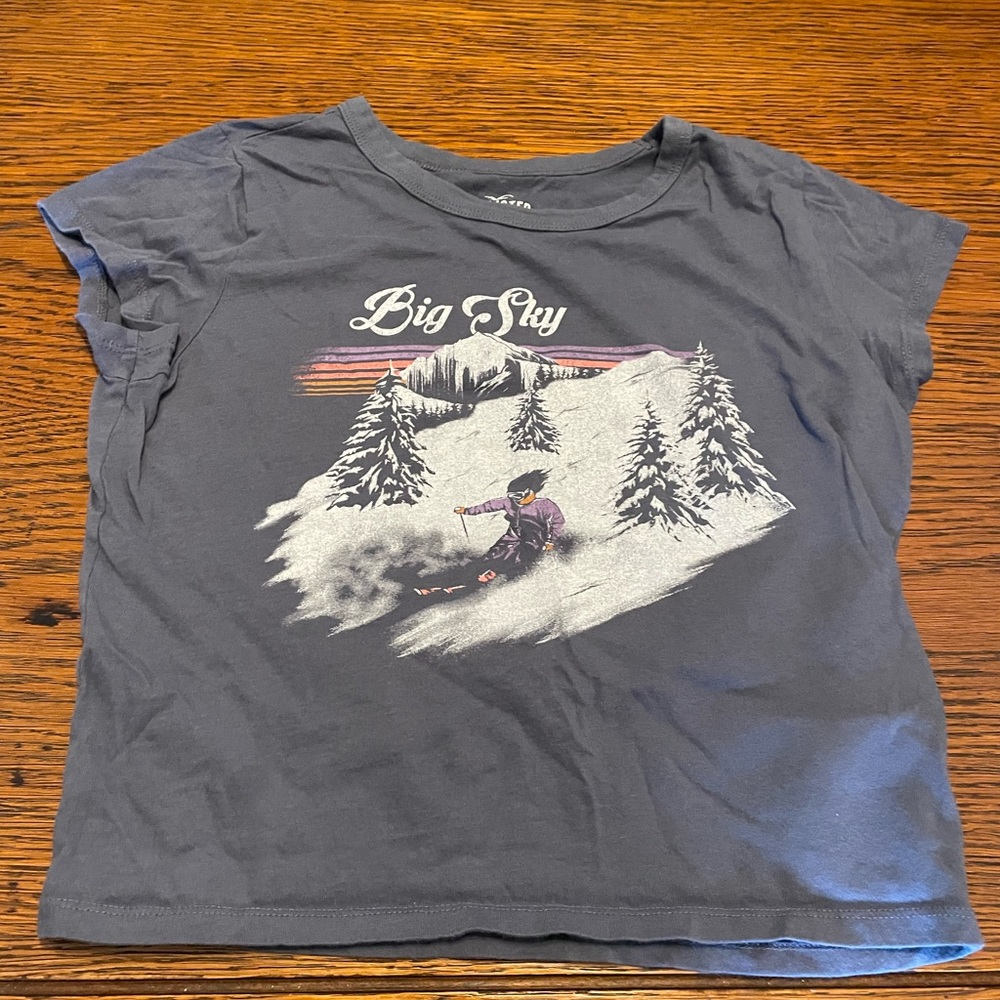 Hollister Kids Gray Graphic Tee